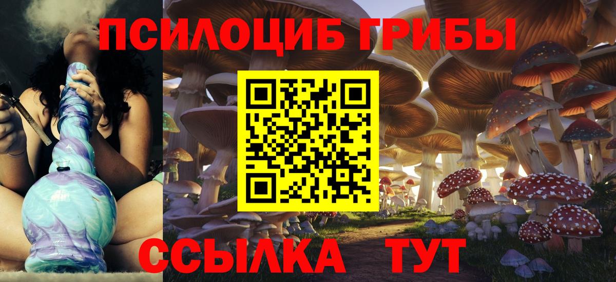 Галлюциногенные грибы GOLDEN TEACHER  Псилоцибиновые грибы Cubensis  Краснодар  Вход с VPN 
